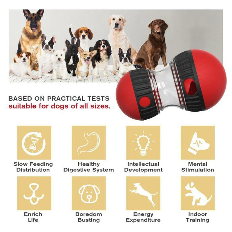 Interactive Dog Toy