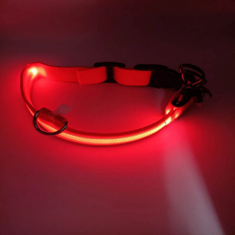 Nylon LED Night Safety Flashing Glow In The Dark Dog