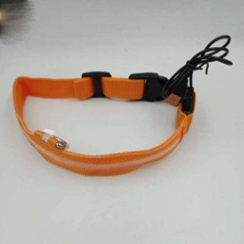 Nylon LED Night Safety Flashing Glow In The Dark Dog