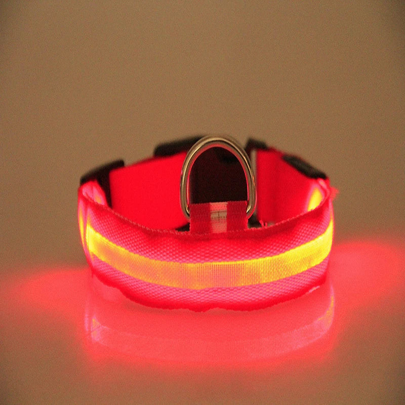 Nylon LED Night Safety Flashing Glow In The Dark Dog
