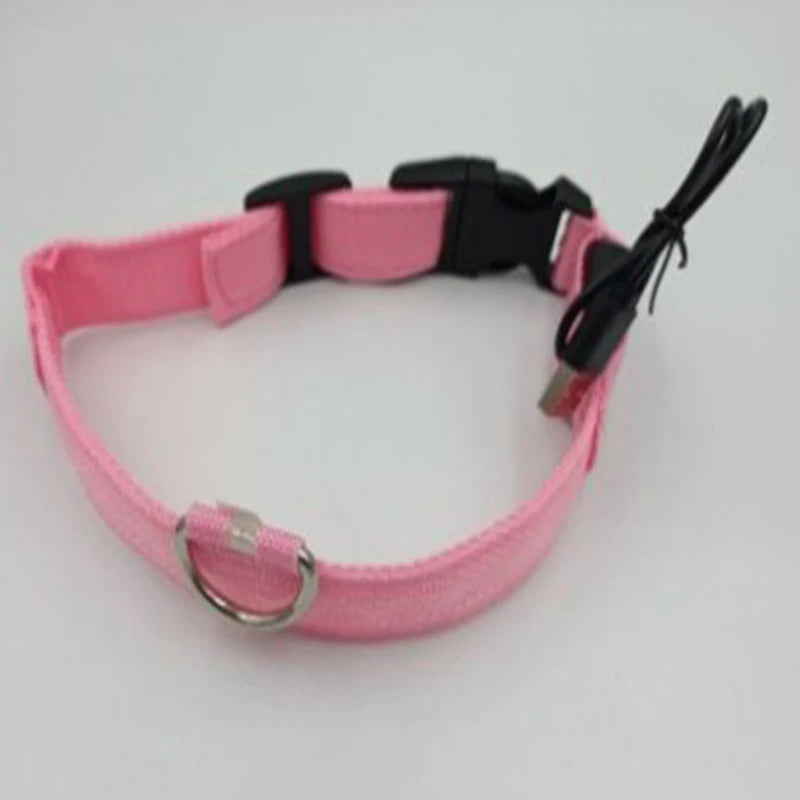 Nylon LED Night Safety Flashing Glow In The Dark Dog