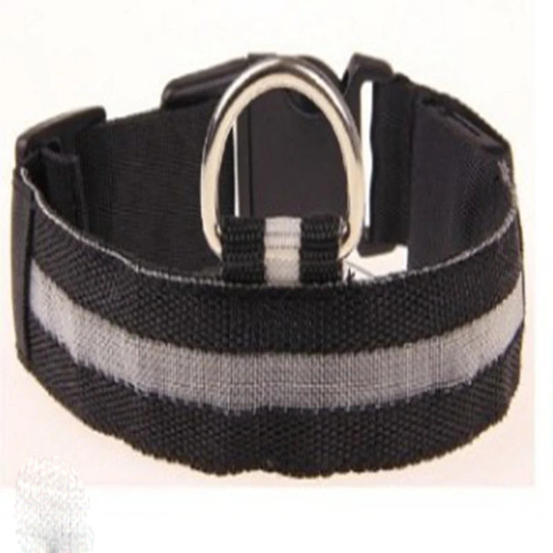 Nylon LED Night Safety Flashing Glow In The Dark Dog