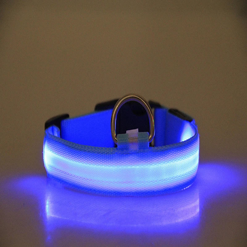 Nylon LED Night Safety Flashing Glow In The Dark Dog