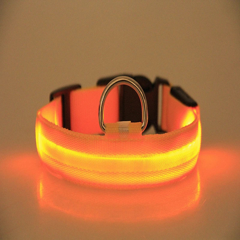 Nylon LED Night Safety Flashing Glow In The Dark Dog