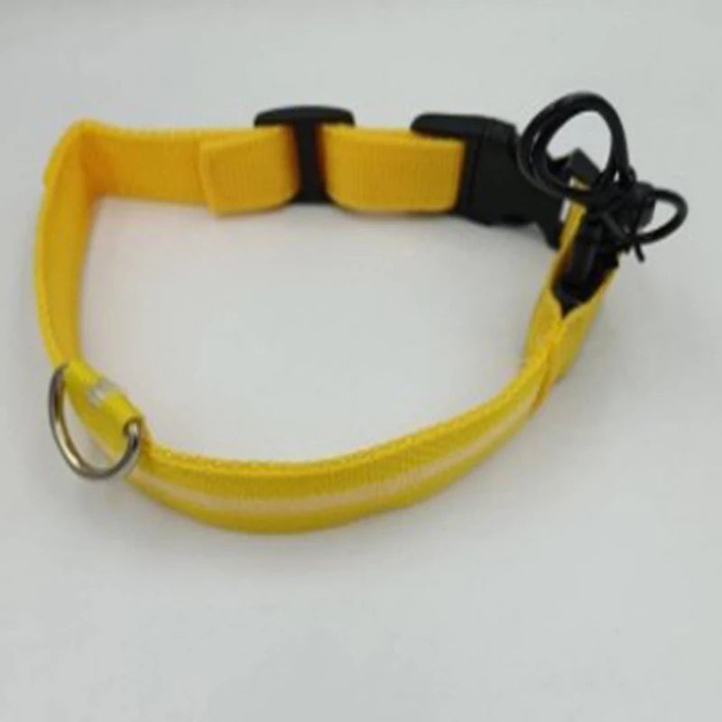 Nylon LED Night Safety Flashing Glow In The Dark Dog