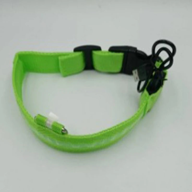 Nylon LED Night Safety Flashing Glow In The Dark Dog