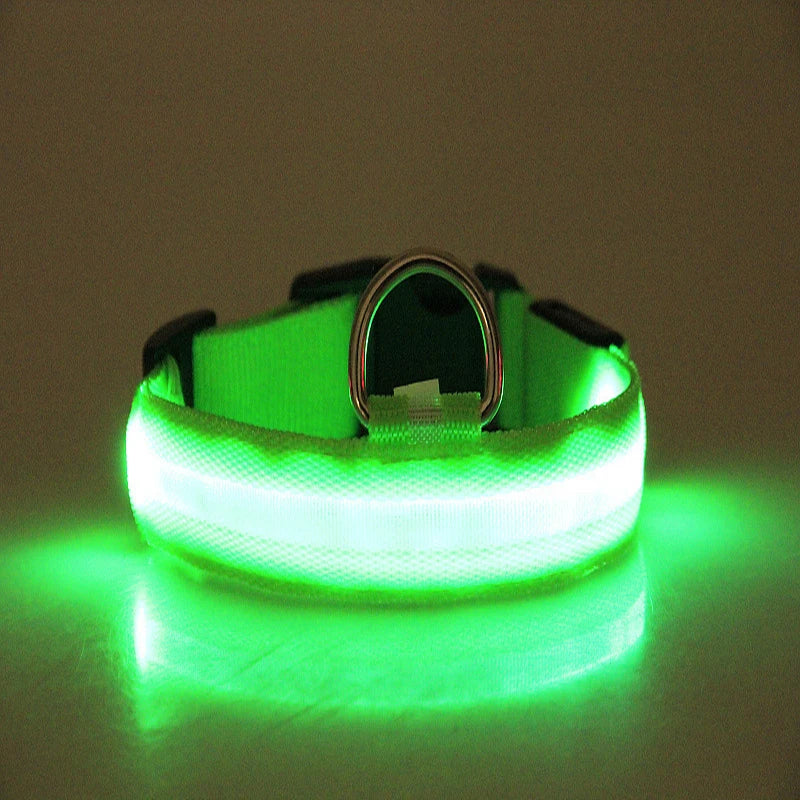 Nylon LED Night Safety Flashing Glow In The Dark Dog