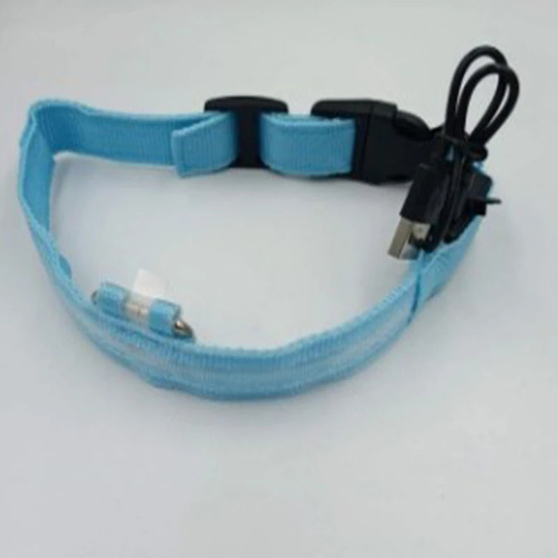 Nylon LED Night Safety Flashing Glow In The Dark Dog