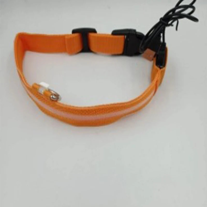 Nylon LED Night Safety Flashing Glow In The Dark Dog