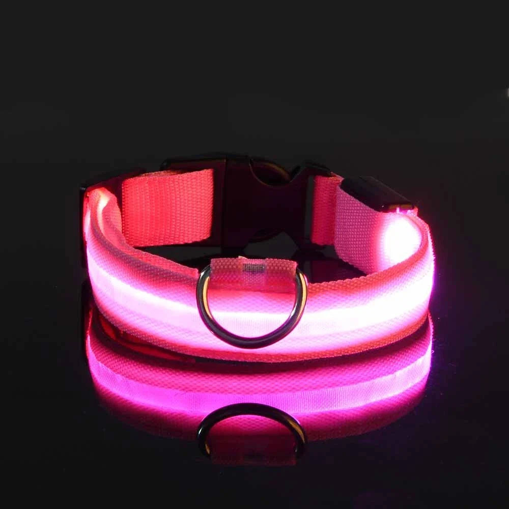 Nylon LED Night Safety Flashing Glow In The Dark Dog
