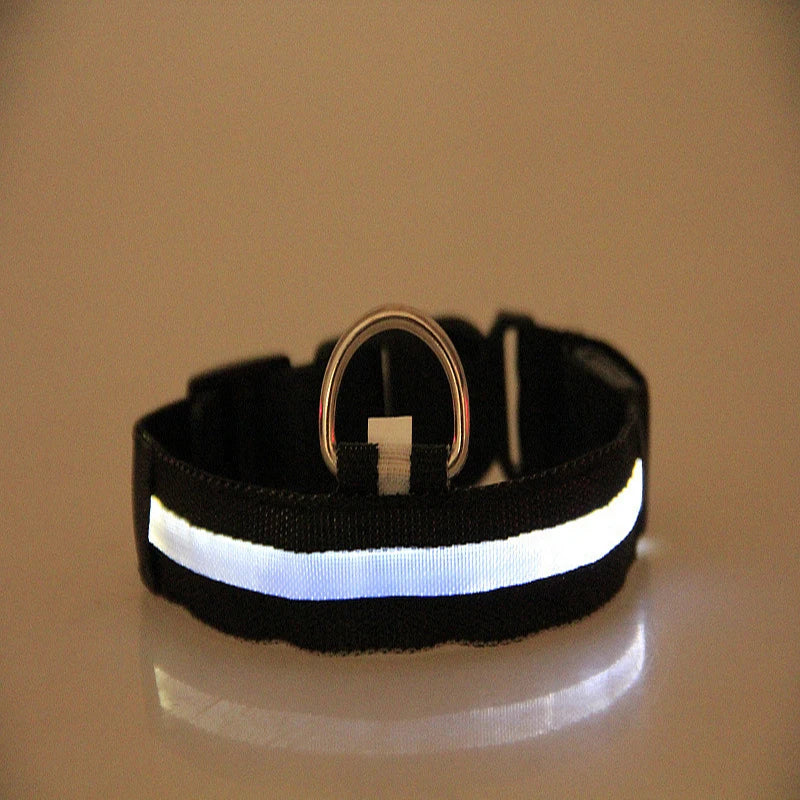 Nylon LED Night Safety Flashing Glow In The Dark Dog